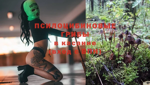 ешки Богородицк