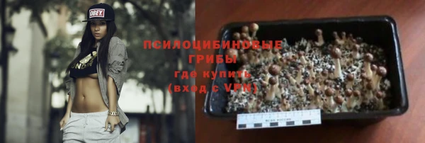 ешки Богородицк