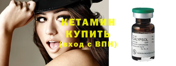 сатива Богданович