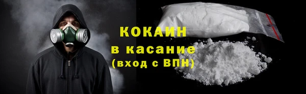 сатива Богданович