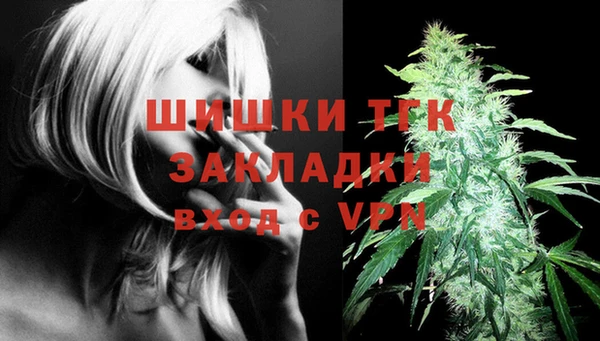 ешки Богородицк