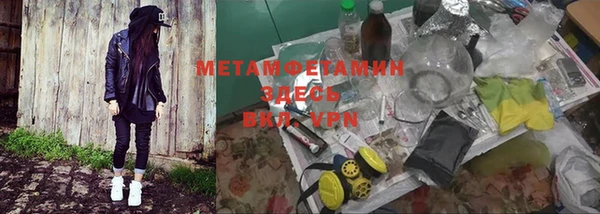 трава Бородино