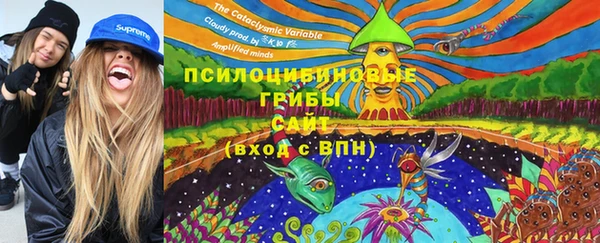ПСИЛОЦИБИНОВЫЕ ГРИБЫ Богородск
