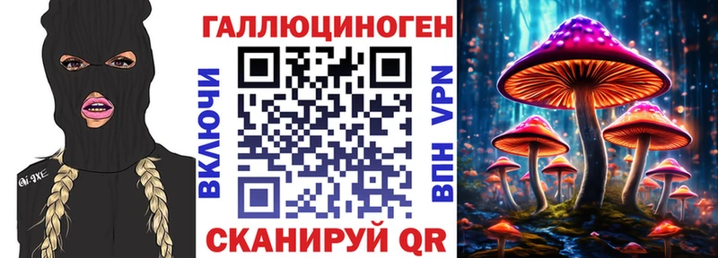 Псилоцибиновые грибы GOLDEN TEACHER  Белорецк 