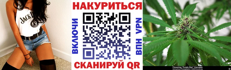 где найти   Белорецк  Каннабис ГИДРОПОН 